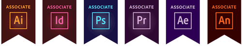 aca badges